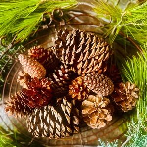 Natural Pine Cone Holiday Decor